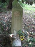 image of grave number 339233